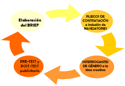 Fases del procedimiento