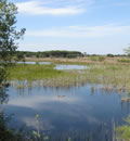 Espacio Natural de Doñana.