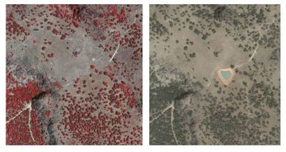 Mosaico de imágenes con detalle de análisis de la ocupación del suelo
