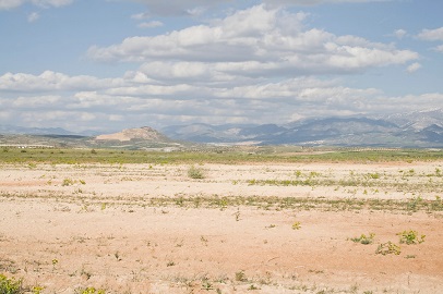 Paisaje con suelo y montaña al fondo