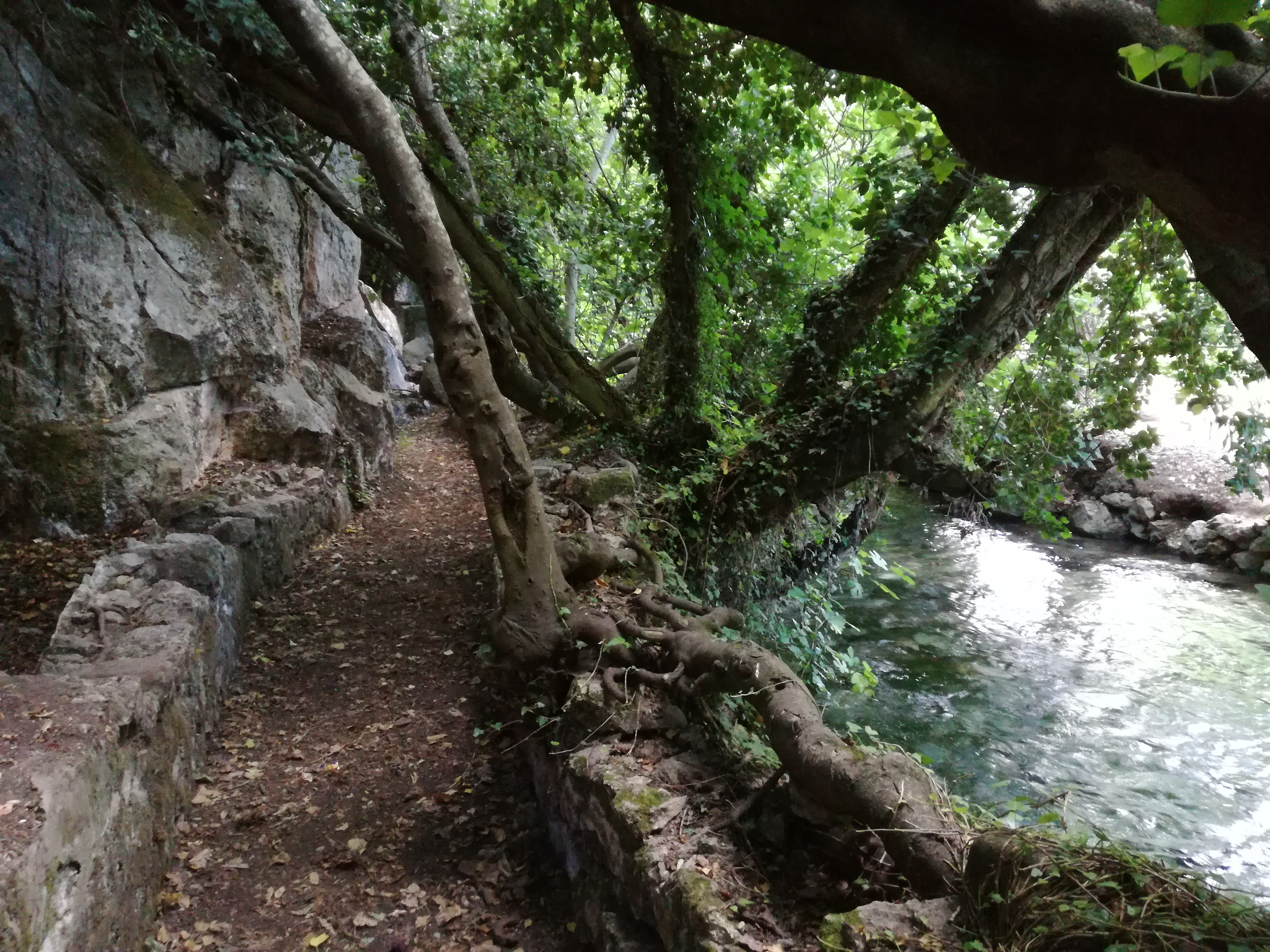 Ampliar imagen: fotografía de un pequeño río a la derecha de la foto y a la izquierda un pequeño camino paralelo al río con árboles y rocas