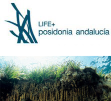 Logo Portal Life Posidonia