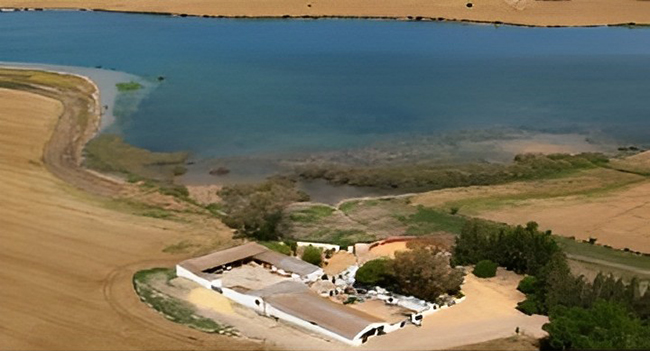Vista aerea de la Laguna de Zarracatín: a su alrrededor se aprecián cultivos y un cortijo.