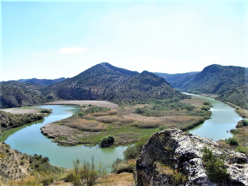 Meandro del Río Genil en el Paraje Natural Embalse de Malpasillo