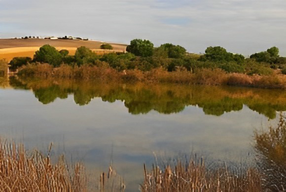 El primer plano muestra una laguna poco profunda. Al fondo paisaje de campiña.