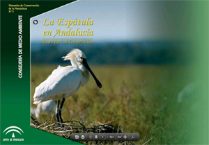 Portada Manual de Seguimiento y Conservación de la espátula (2009)