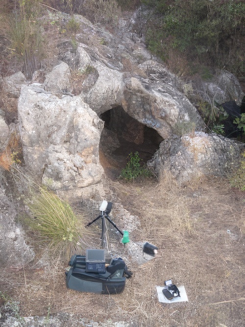 Seguimiento de quirópteros cavernícolas de Andalucía