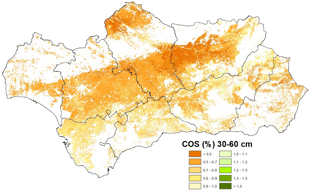 Mapa de carbono orgánico en el suelo, de 30 a 60 cm.