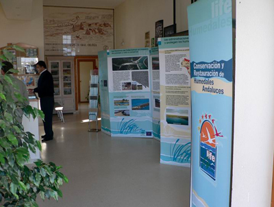 Actuaciones realizadas en el proyecto LIFE Conservación y restauración de humedales andaluces