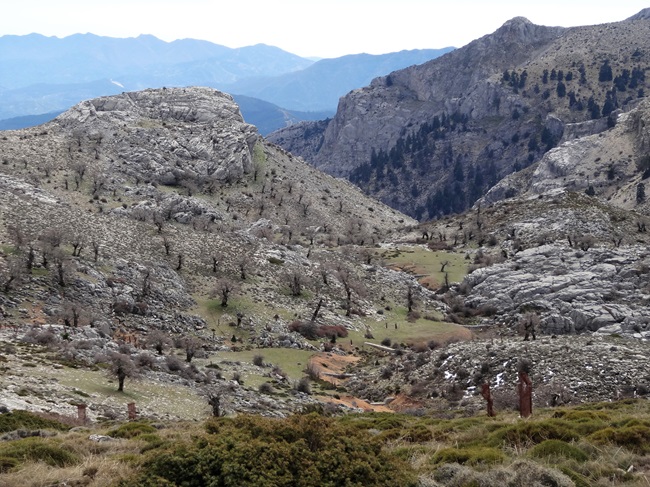 Espacio Natural de la Sierra de las Nieves. Rafael Haro