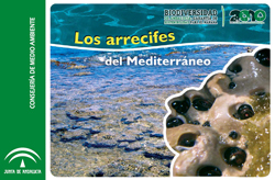 Portada Los arrecifes del Mediterráneo (2010)