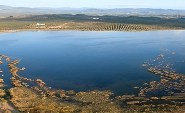 Vista aerea de la Laguna del Conde o Salobral rodeada de olivos.