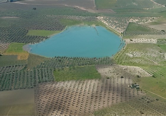 Vista Aerea de la Laguna del Rincón rodeada de olivos.