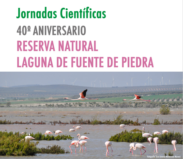 Cartel Jornadas científicas 40.º aniversario de la Reserva Natural Laguna de Fuente de Piedra