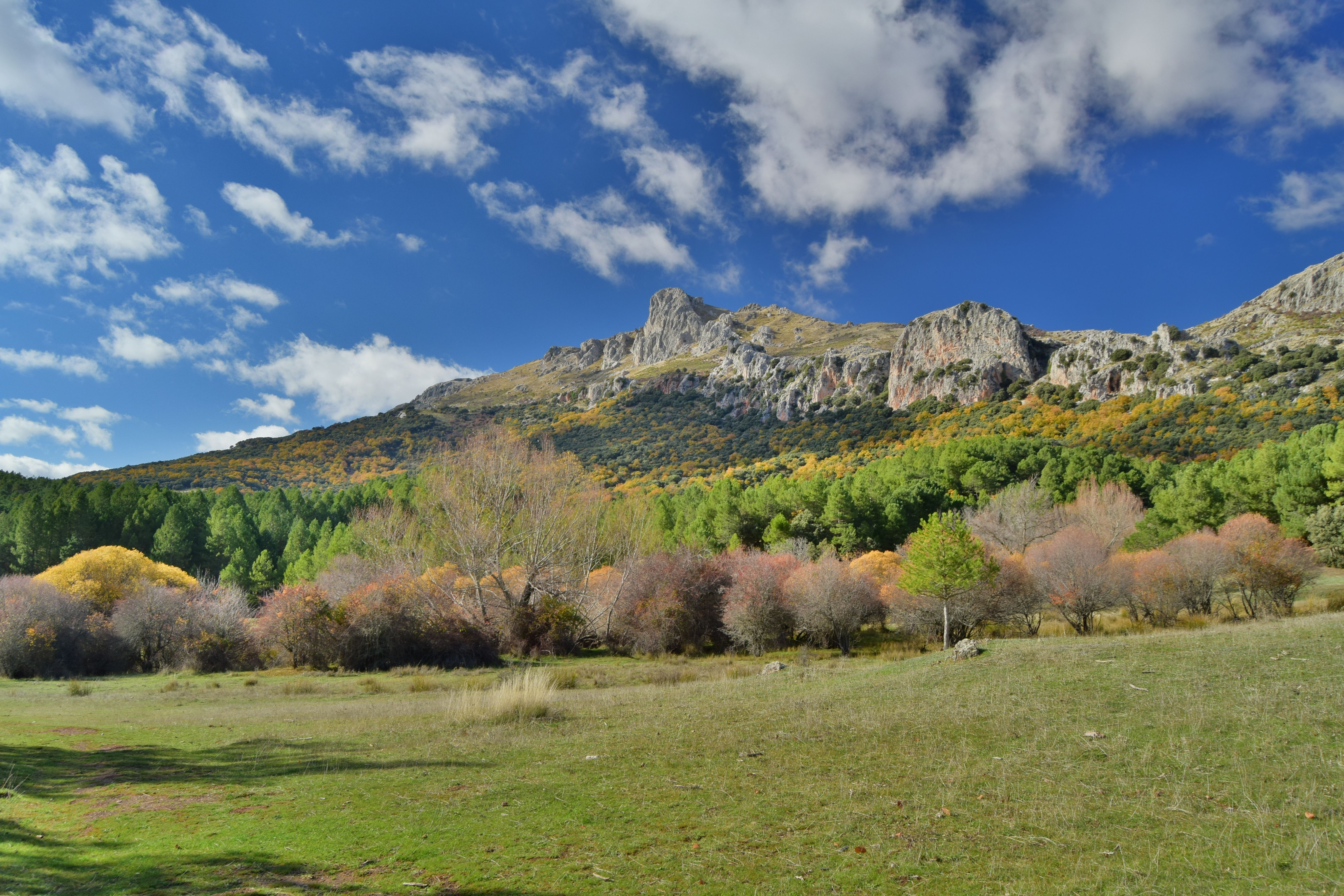 Paisaje de la Sierra de Huétor. En primer plano se muestra un valle verde y al fondo una montaña de altura media de densa masa boscosa.