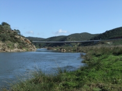 Cauce de un río, con vegetación en ambas riveras