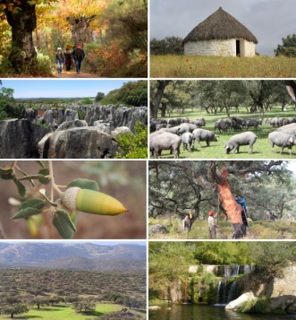 Mosaico de imágenes de la reserva