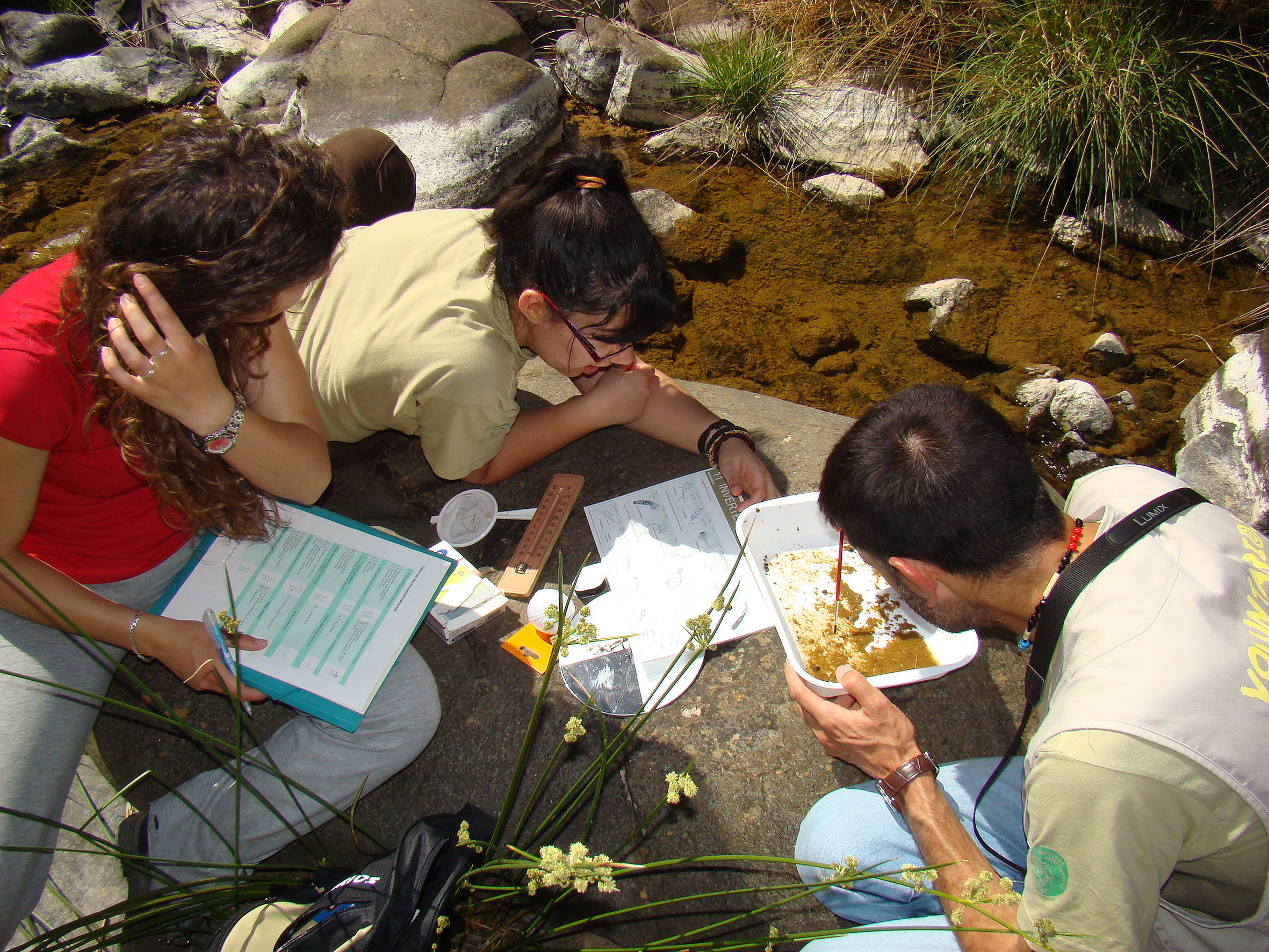 Voluntariado PN Sierra de las Nieves I