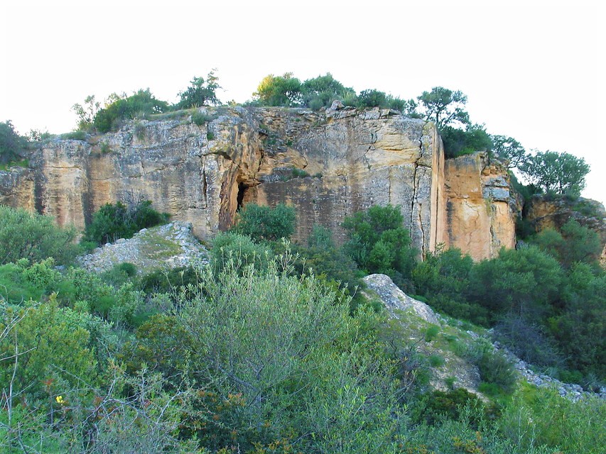 Ampiar imagen: Fotografía con árboles y arbustos en primer plano y al fondo una pared rocosa escarpada de gran altura. Cielo gris