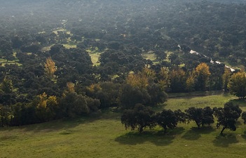 Vista aérea de un monte andaluz