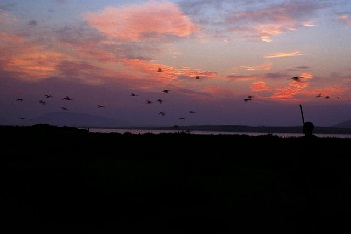 Paisaje de costa al atardecer. Los pájaros vuelan en un cielo con colores violetas y anaranjados.