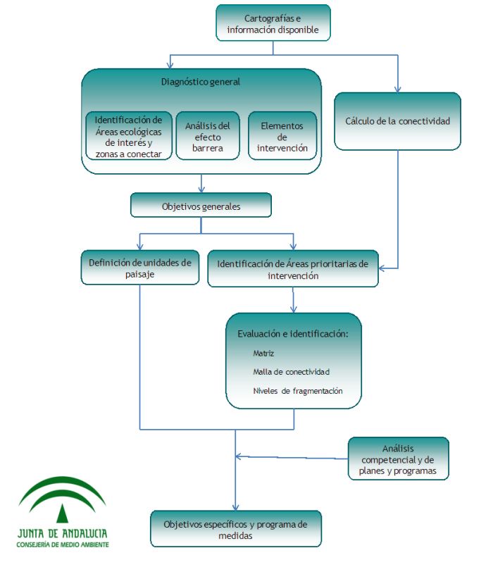 Proceso a seguir en la fase de diagnóstico del Plan