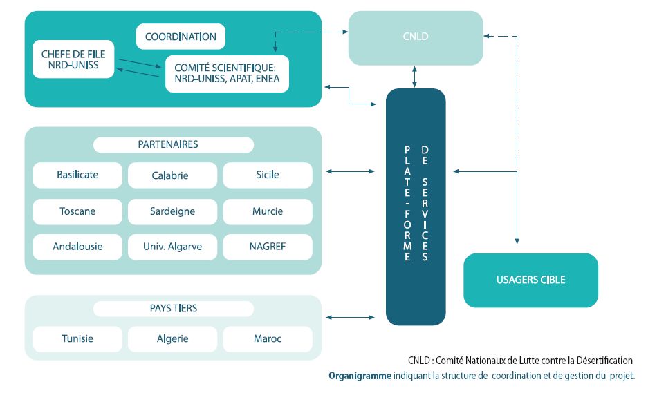 Organigrama de la estructura de coordinación y gestión del Proyecro Desertnet II