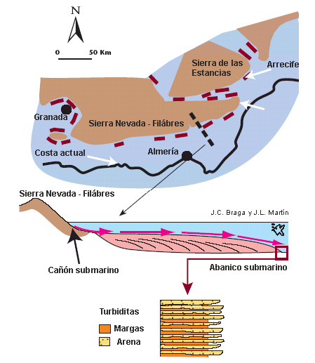 Gráfico Paleografía de la costa almeriense hace 8 millones de años