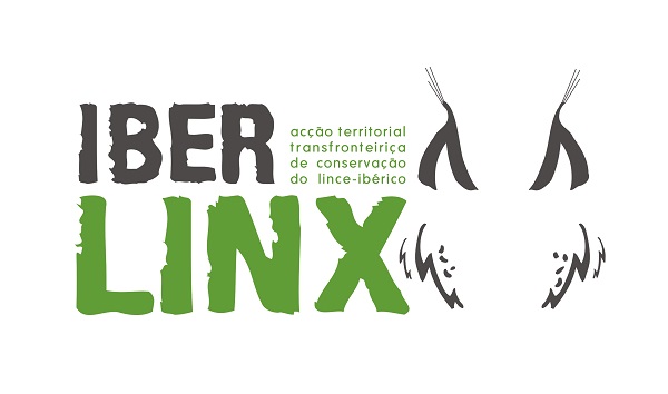 Iberlinx, acción transfronteriza de conservación del lince ibérico