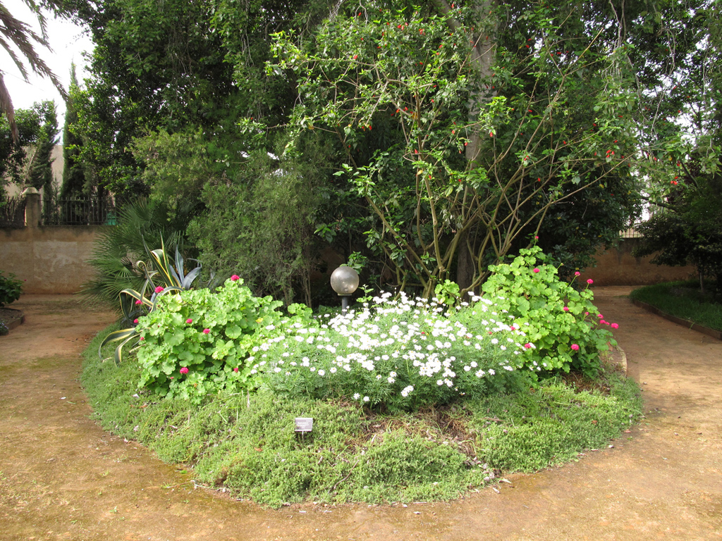 Abrir ficha de la imagen. Jardín Botánico 'San Fernando': Jardín de la bahía