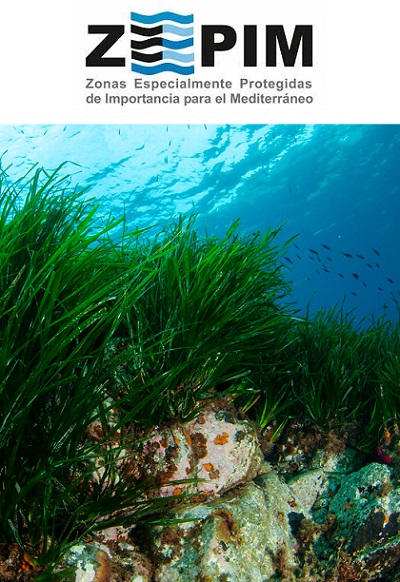 Pradera de Posidonia oceánica. Parque Natural de Cabo de Gata-Níjar. Autor: Agustín Barrajón