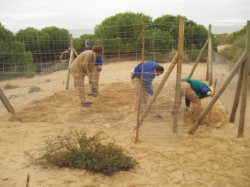 Programa de Conservación de la Flora Amenazada en la provincia de Huelva (actuaciones comprendidas entre 2006 y 2008)