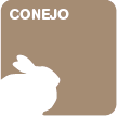 Conejo