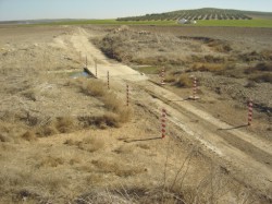 Proyecto de restauración de las lagunas de Calderón Grande y Turquilla (Sevilla)