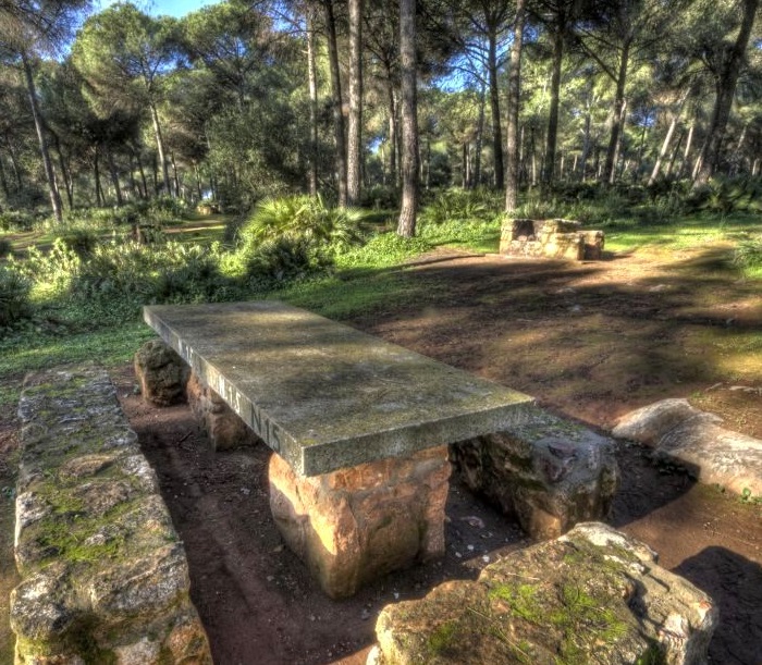 Ampliar imagen: mesas y bancos de piedra en un área recreativa del parque