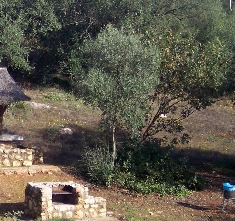 Zona de barbacoa en el área recreativa