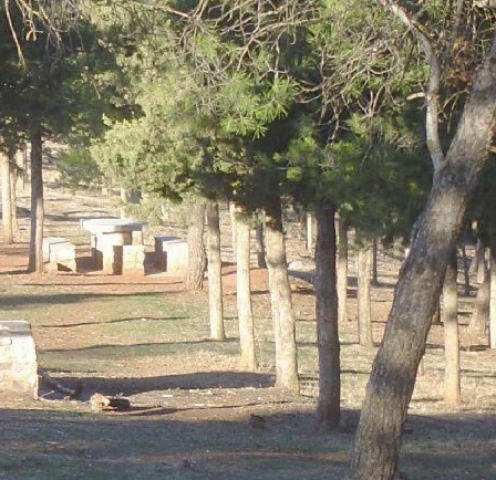 Zona de descanso, con mesas y bancos de piedra para comer