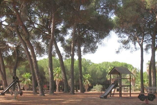 Zona de juegos infantiles, hechos de madera y metal, en el parque, a la sombra del pinar