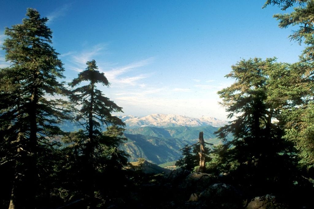 Paraje Natural Los Reales de Sierra Bermeja