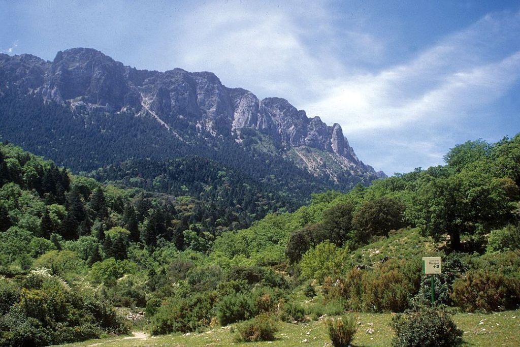 Parque Natural Sierra de Grazalema