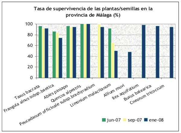 Programa de Conservación de la Flora Amenazada en la provincia de Málaga (actuaciones comprendidas entre 2006 y 2008)