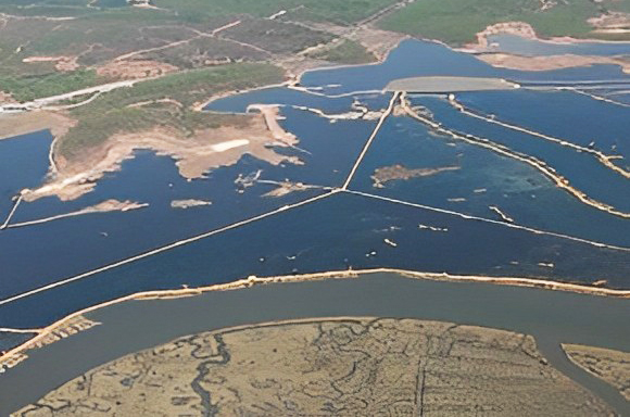 Vista aerea de la Reserva Natural Isla de Enmedio (Huelva)