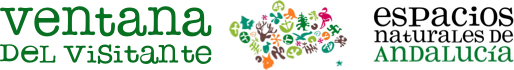 Cabecera logo Ventana del Visitante Ventana del Visitante