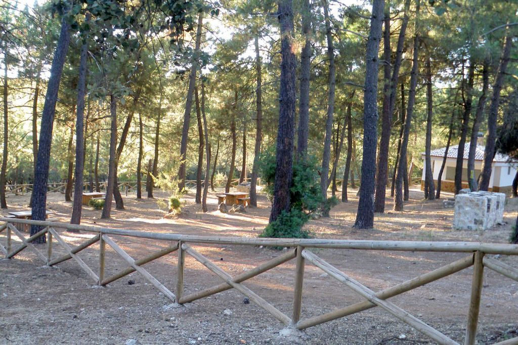 Ampliar imagen: área recreativa con barbacoa de piedra y bancos y mesas de madera, rodeada por una cerca de madera