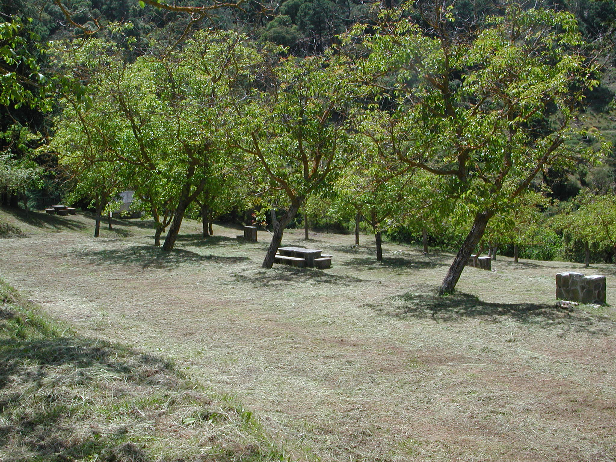 LA ALCAUCA