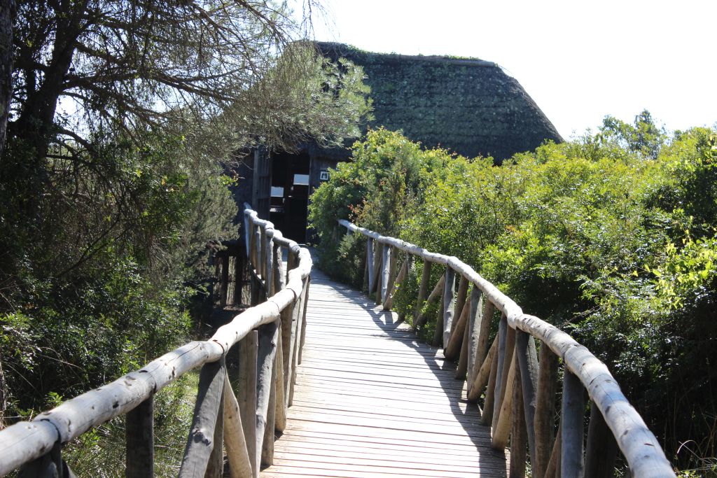 LLANOS DE VELÁZQUEZ