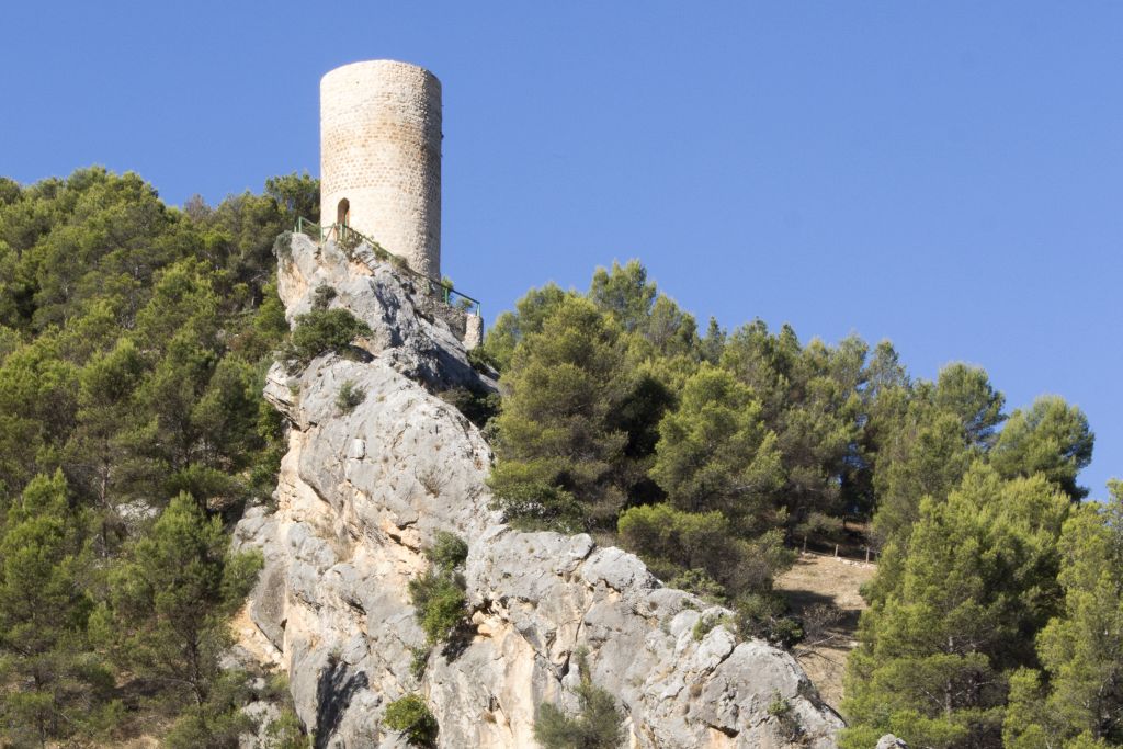 TORREÓN DE CUADROS