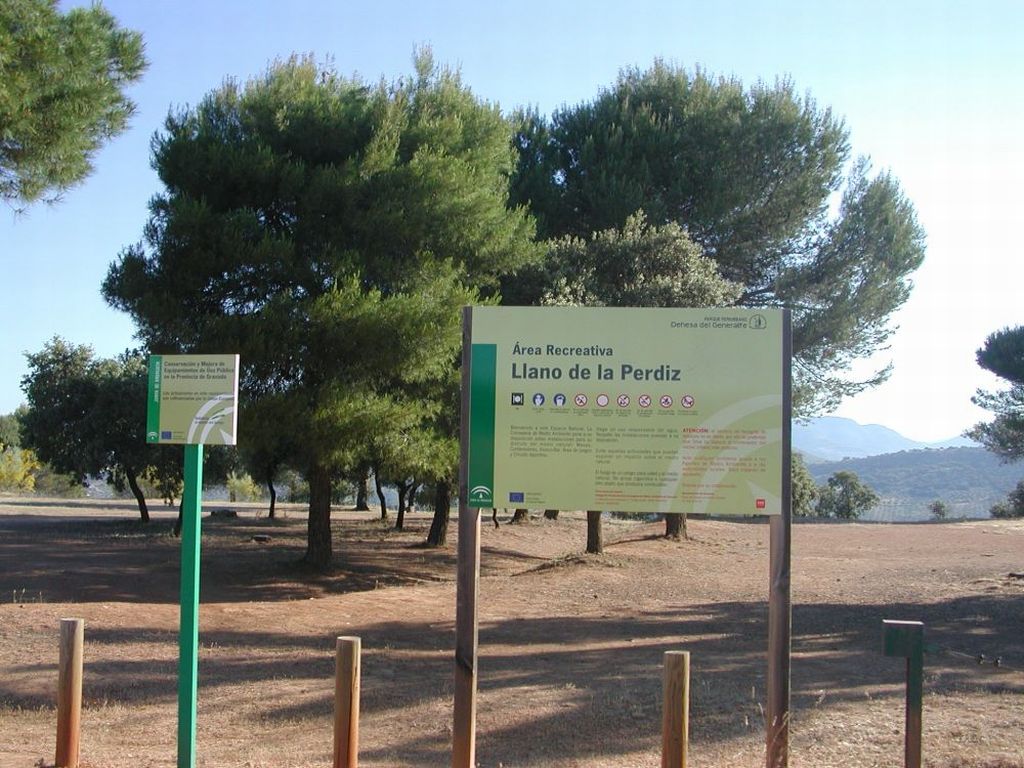 LLANO DE LA PERDIZ