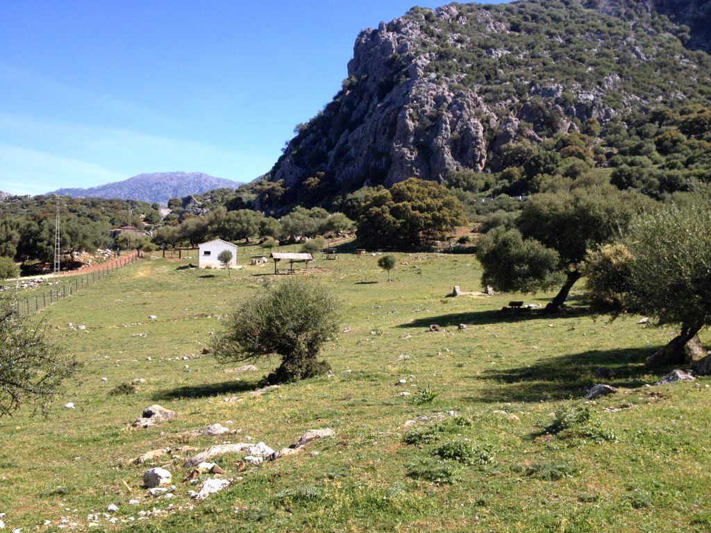 CINTILLO Y AGUAS NUEVAS