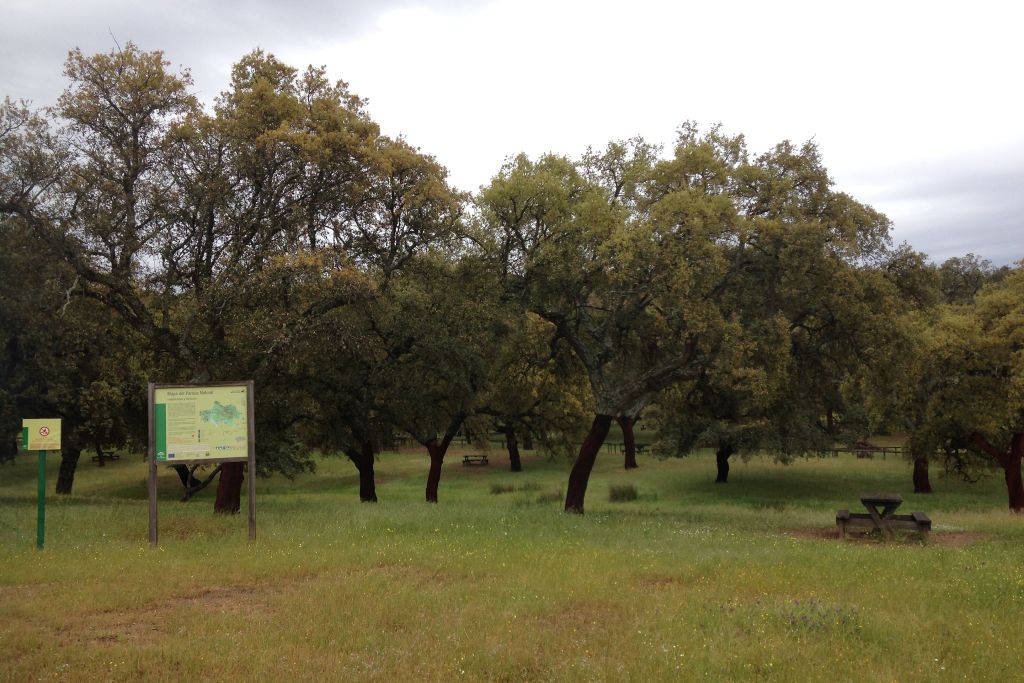 CORTIJO EL BERROCAL